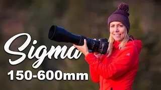 Sigma 150-600 mm FIRST IMPRESSIONS for wildlife photography
