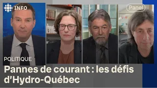 Le panel politique du 4 avril 2024