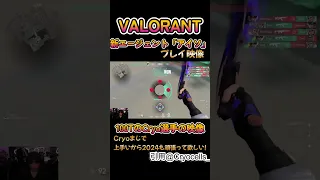 【VALORANT】新エージェント「アイソ」のプレイ映像！100TのCryo選手のプレイ映像　ヴァロラント　#valorant   #vct #vctchampions #valo