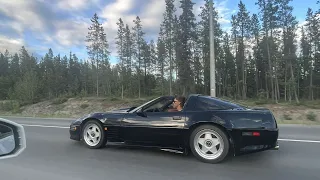 Japanese BSM c4 Corvette walk Around And Drifts