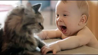 Baby and Cat the best friends - Funny Baby Video