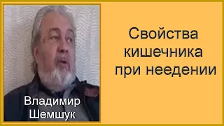 Свойства кишечника при неедении. Владимир Шемшук