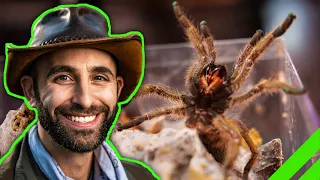 Why Coyote Peterson HASN'T BEEN BIT By A Tarantula!