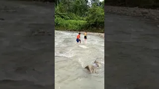 Hidup penuh dengan Perjuangan___Anak Desa Rydho, Faris, dan Fadil || Sungai Idanoi ||