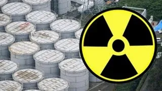 Fukushima radiation leak level reaches new high, fish affected