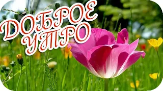 Доброе утро! ❤️Цените каждый день! ❤️Красивая музыкальная открытка!❤️