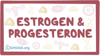 Estrogen & progesterone