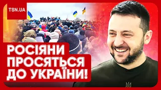 😳 "Как получить украинский паспорт?!" Історичний указ Зеленського "розірвав" росіян!