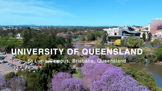 University of Queensland - Campus Tour in Jacaranda Season 2022