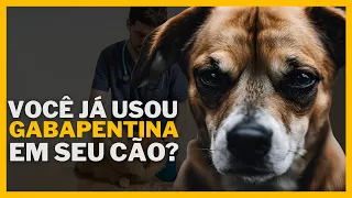 Gabapentina para Cães Dosagem, Usos e Efeitos Colaterais