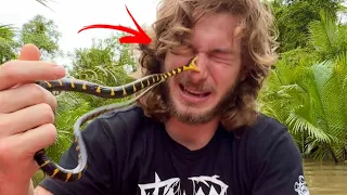 Venomous Snake Bite to the FACE!