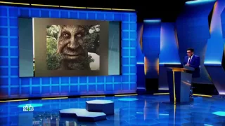 Wise Mystical Tree at russian "Jeopardy" / Мудрое дерево в "Своей игре"
