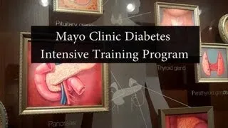 Mayo Clinic Diabetes Intensive Training Program