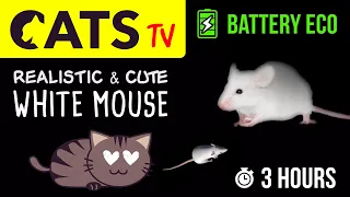 CATS TV - The BEST Mouse Game for Cats 🐭 Battery ECO 🔋 3 HOURS