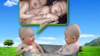 Разговор двух младенцев в утробе матери - Светлана Копылова