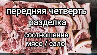 Разделка передней четверти свиной туши  Сколько мяса и сала в передней четверти свиньи