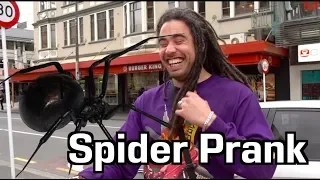 Halloween Magic Spider Prank