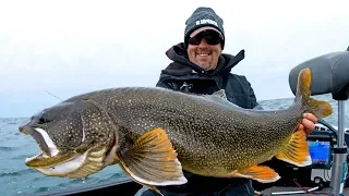 Cold Water Giants on the Great Lakes