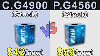 Celeron G4900 vs Pentium G4560 | Which is Better Value for MONEY...???