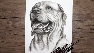 Realistic Dog Head Drawing Step by Step | How to Draw with Pencils | Animals Drawing Tutorial