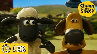 Shaun the Sheep 🐑 The Escape Plan 😱🧻 Full Episodes Compilation [1 hour]