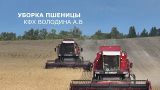 Уборка пшеницы КФХ Володин
