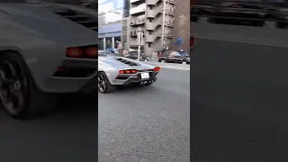 Lamborghini Countach LPI800🤍✨