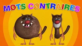 Foufou - Les Mots Contraires pour les enfants (Learn opposite words for kids) 4k