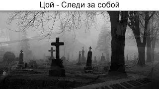 следи за собой // цой // cover @VADIMRAZOV_