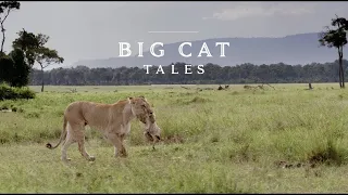 Paradise of Lion Animal Planet Full documentary in Hindi