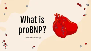 What is proBNP? | Tracking Heart Failure | Dr. Curnew MD