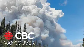 Highway to Bella Coola closed as hundreds of wildfires burn across B.C.