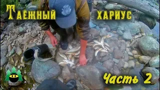 Рыбалка на таежной речке (часть 2) | Fishing on the taiga river (part 2)