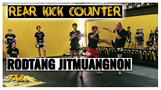 Rear Kick Counter Option with Rodtang Jitmuangnon