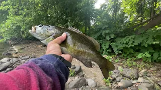 Chasing River Smallmouth Bass With Jerk Bait, 7 / 30 / 21