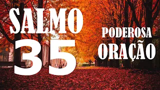 Salmo 35 - Poderosa oração pedindo AJUDA de Deus