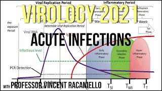 Virology Lectures 2021 #16 - Acute Infections