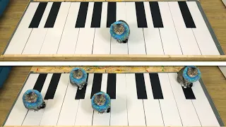Cats Play GIANT PIANO!