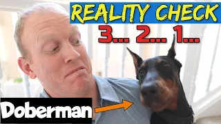 The Biggest Downsides to Owning a Doberman: Do You Agree?