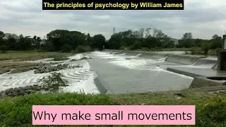 Why make small movements (The principles of psychology by William James 1)