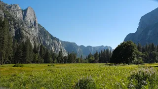 Meadows - Yosemite Nature Notes - Episode 33