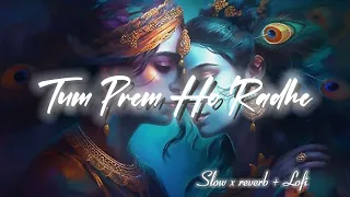 Tum Prem Ho Radhe 🥰 radhe Radhe 🥰 Lofi song