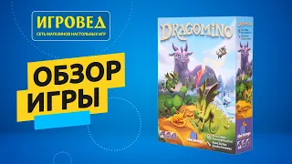 Драконье королевство. Обзор настольной игры от Игроведа