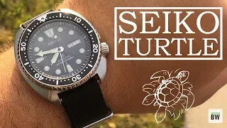 Why the Seiko Turtle is good value - Rebuying the SRP777