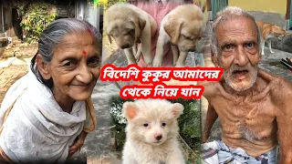 Home breed dog kennel in Howrah West Bengal☺️dog kennel in Howrah☺️dog kennel in india