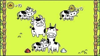 Cow Evolution