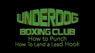 Boxing Lesson how to land a Lead Hook (3)