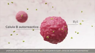 Benlysta® (belimumab) Mechanism of Action