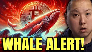 Bitcoin Holders Pay Attention To These Whale Moves!