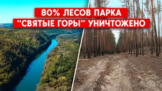 Природный парк "Святые горы" почти уничтожен. Что будет с разрушенными лесничествами Донетчины?